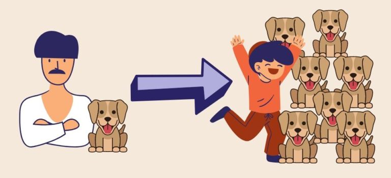 Cómo clonar a tu perro en tres pasos